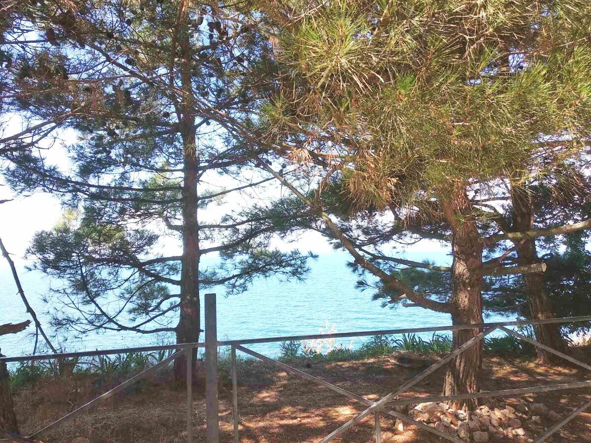 Так выглядит наш выход к морю