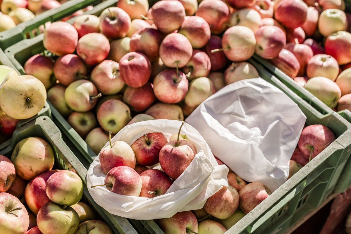 Bag of apples
