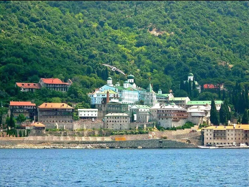 Фото: drevo-info.ru