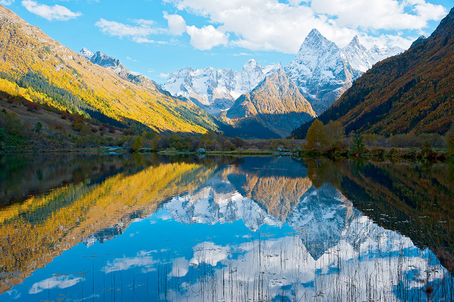 Фото: Shutterstock