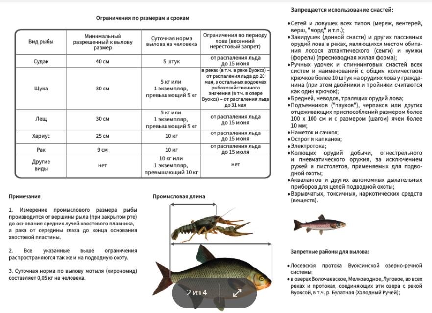 Стол 4 какую рыбу можно