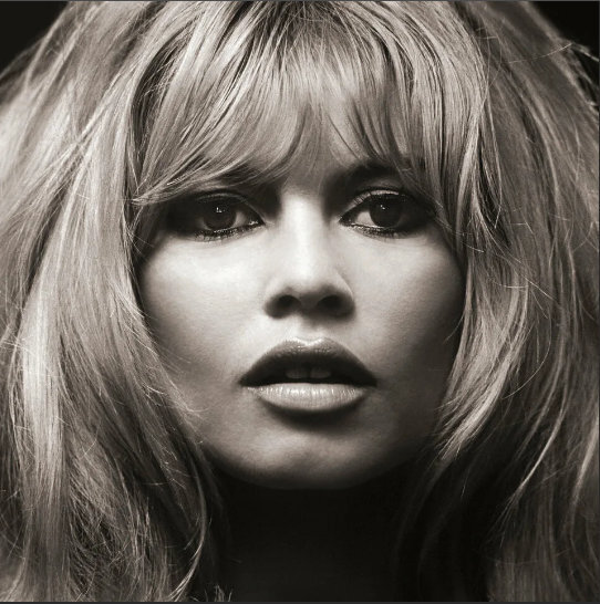 Брижит Бардо. Фото из открытого источника "Яндекс. Картинки."