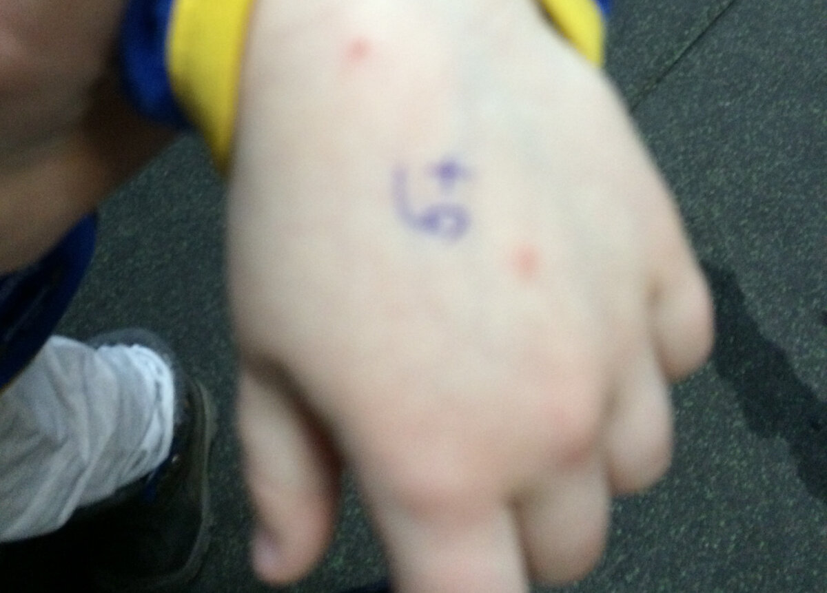 Оценочки за лёд. Фото автора.