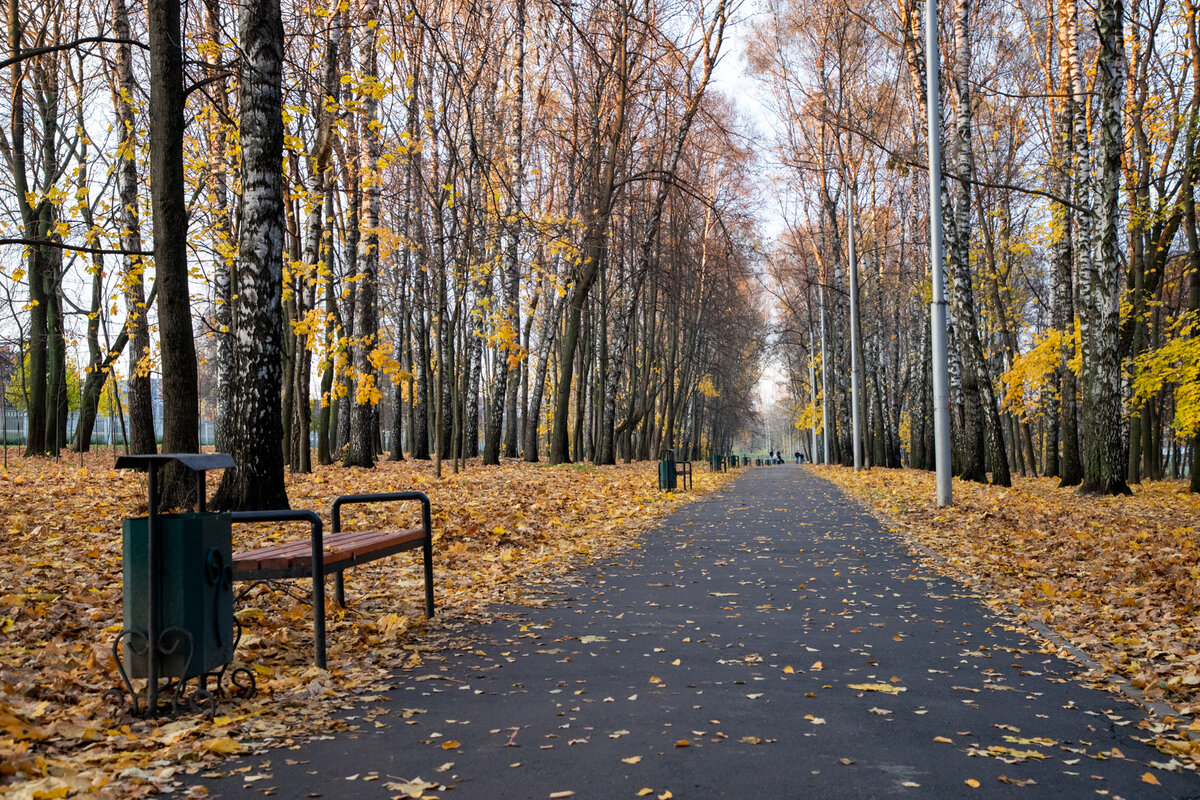 Фото: Тульская служба новостей