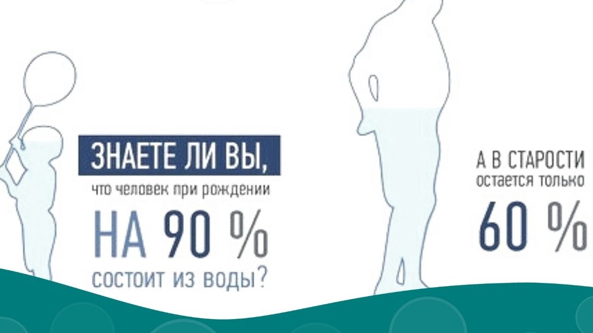 Знаете ли вы, что одним из факторов старения человека является потеря уровня насыщения клеток человека водой.   