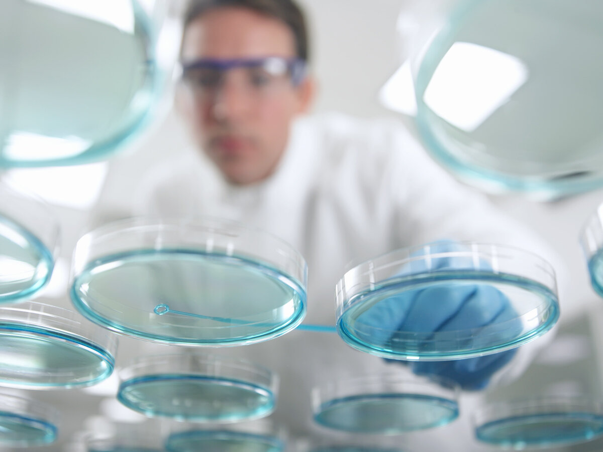 Фото из интернета