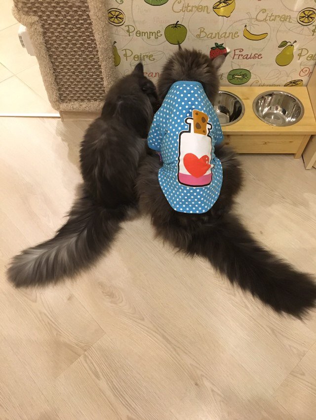 Фото из личного архива.