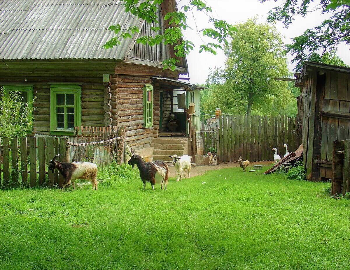 Маленькая деревня. Лесной район деревня городок. Село Никольское Лесной район Тверская область. Большая деревня. Большие деревни