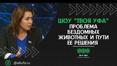 Проблема бездомных животных и пути ее решения