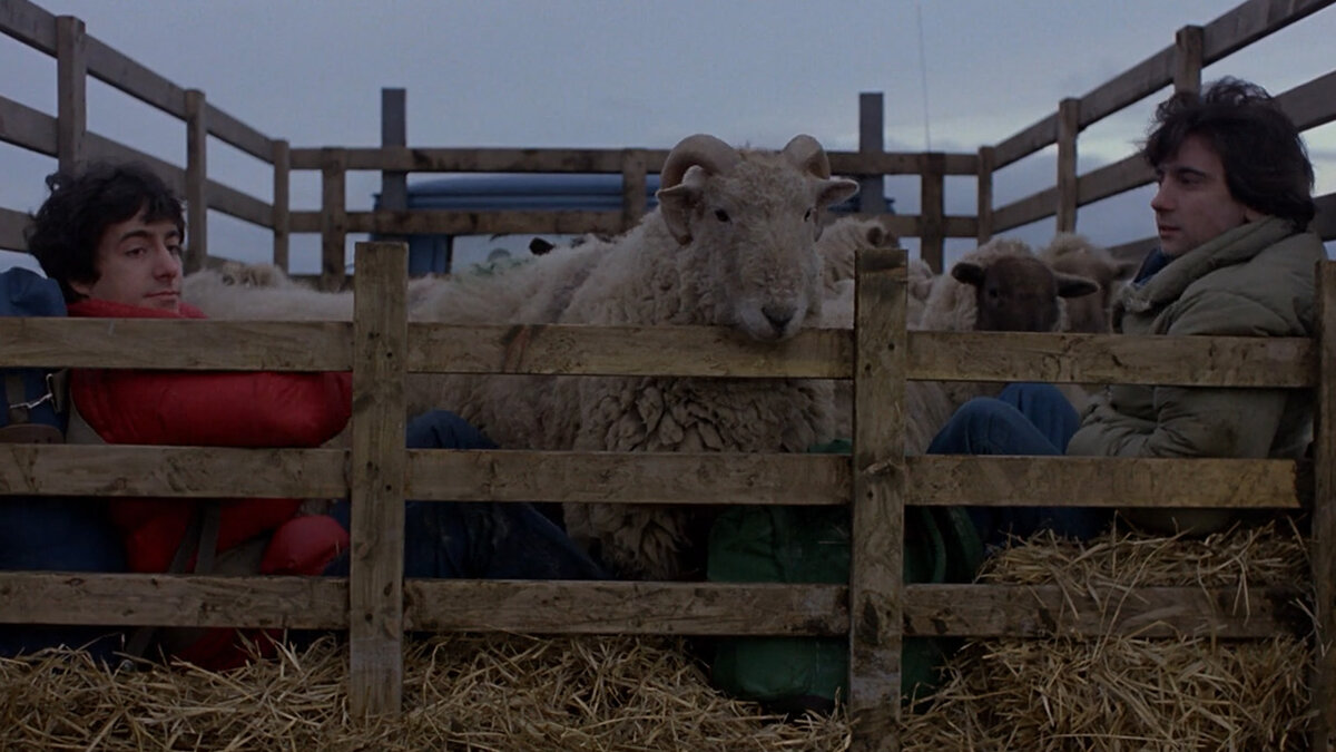 Кадр из кинофильма "Американский оборотень в Лондоне"