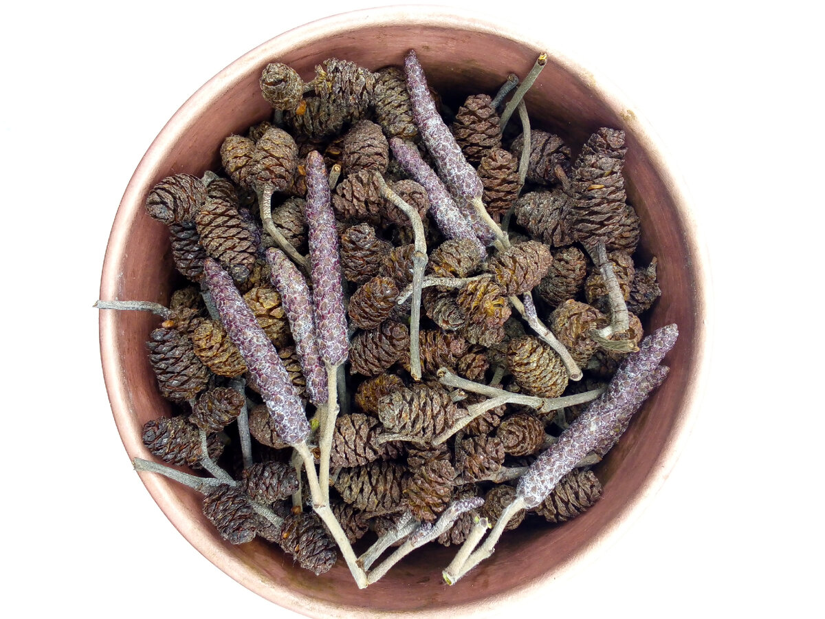 Одна партия гидролата - 250 гр. сырья