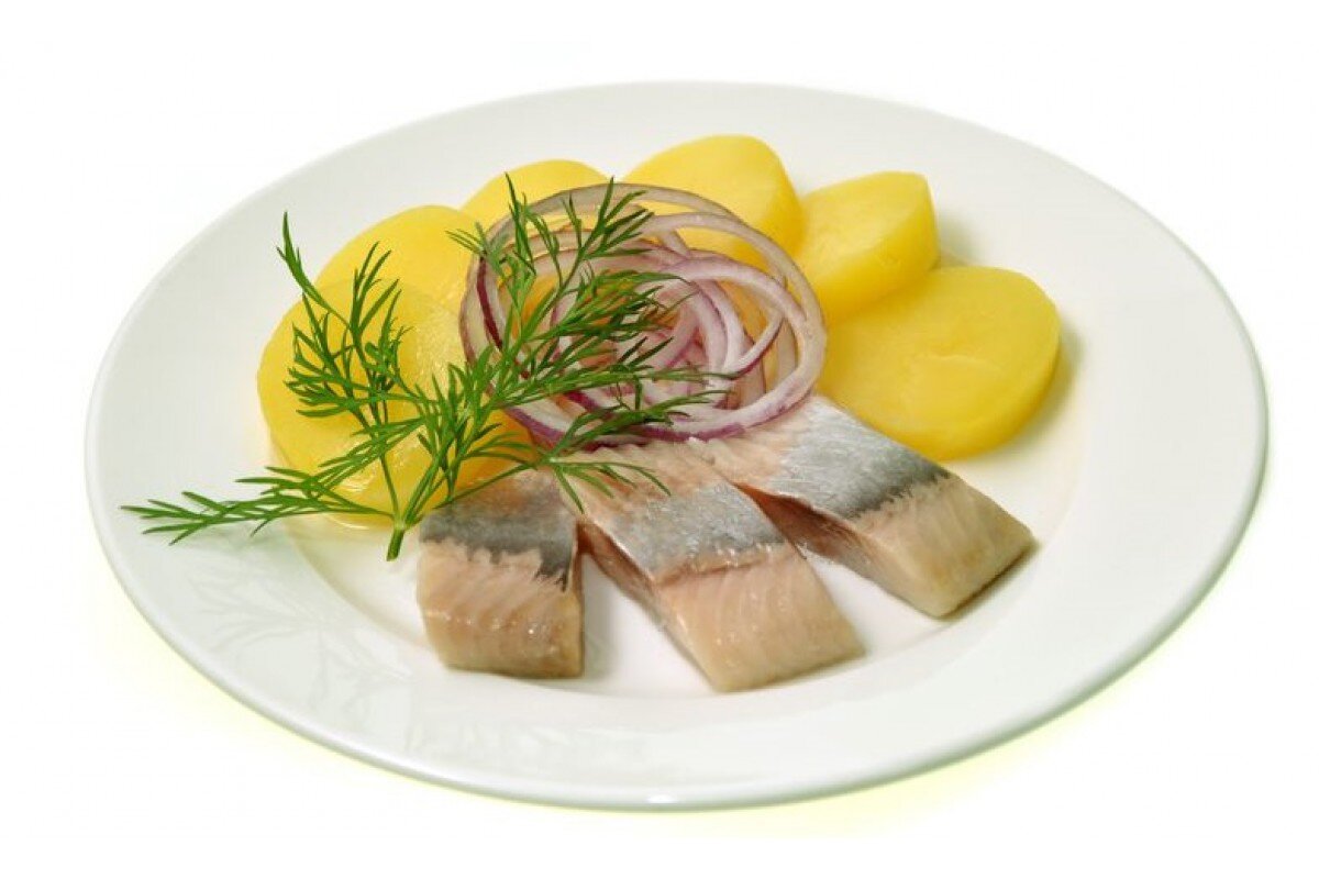 Фото взято из открытого источника