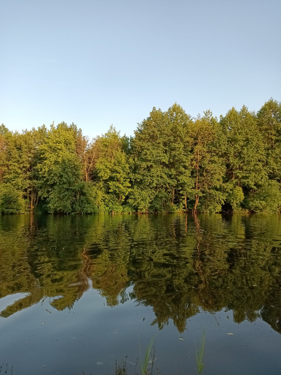 Река Лесной Воронеж