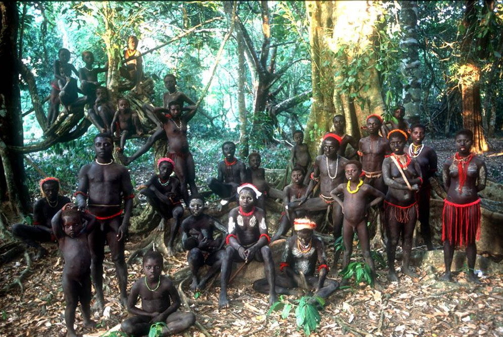 Tribe s. Андаманские острова племя джарава. Северный Сентинельский остров аборигены. Северный Сентинельский остров, Индия. Андаманские острова, Северный Сентинел.