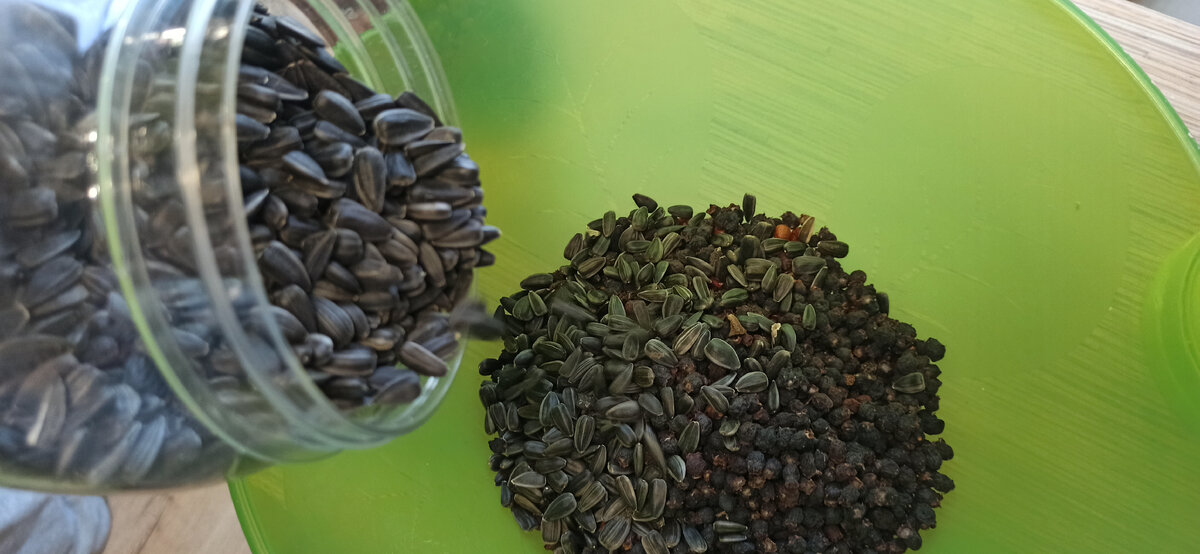 Семечки не жареные