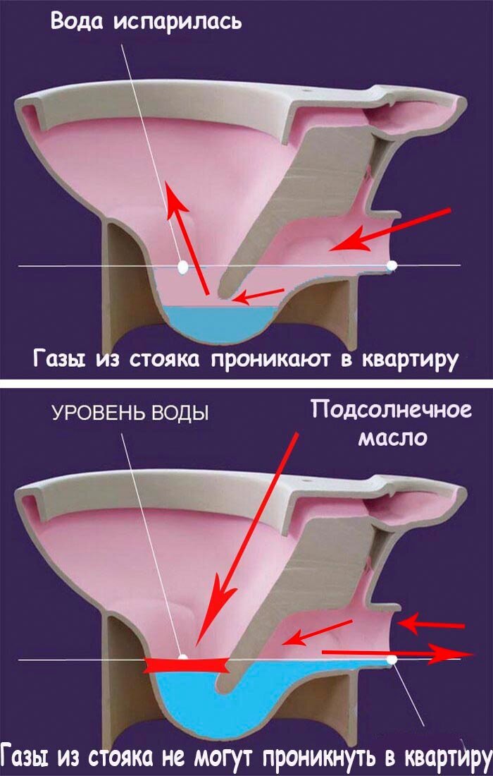 Гидрозатвор в туалете что это