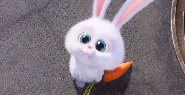 И как меня зовут?