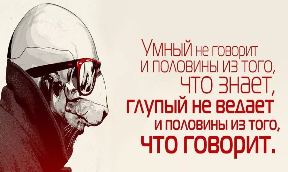 Что то умное. Цитаты про умных и глупых. Высказывания о глупых людях. Цитаты про умных и глупых людей. Мудрые высказывания о глупых людях.
