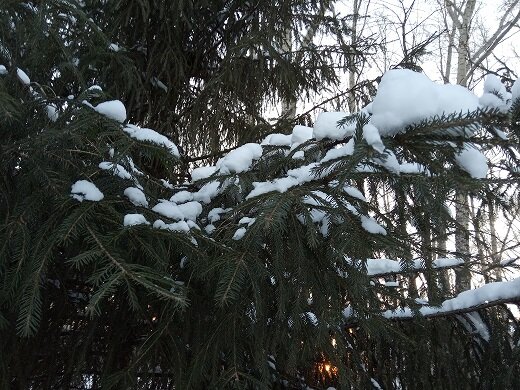 Фотография из личного архива автора