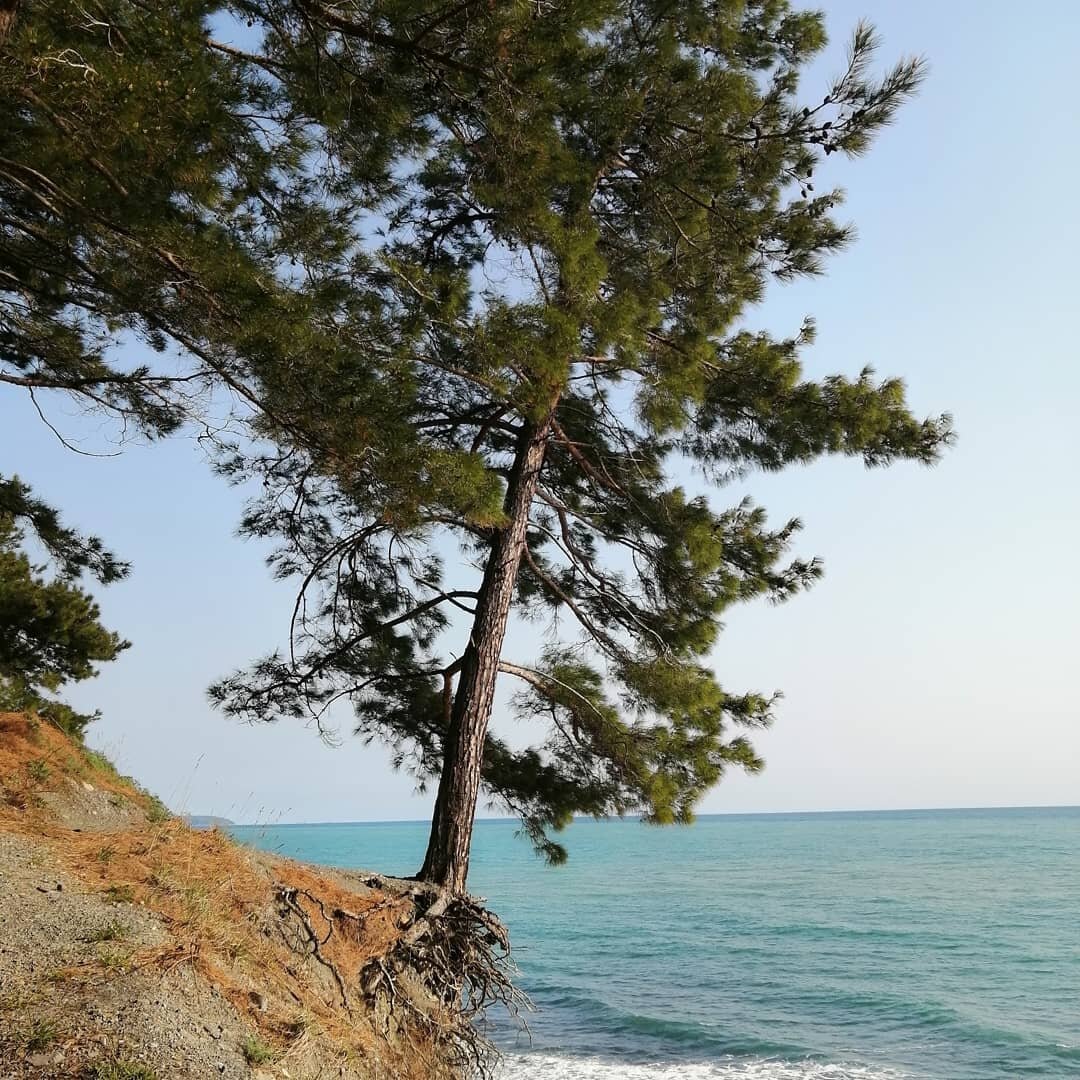 Личная фотография 