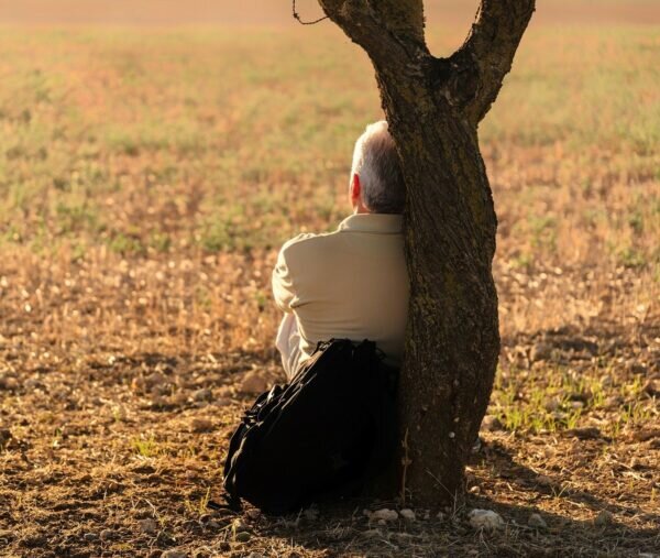    Фото: pixabay.com