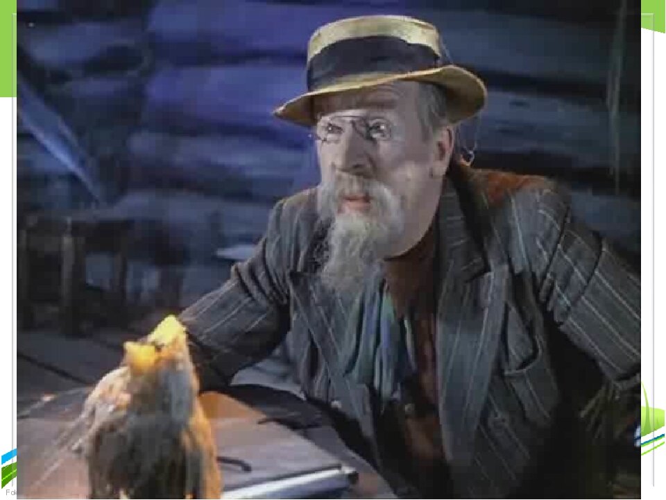 Фото из открытых источников.