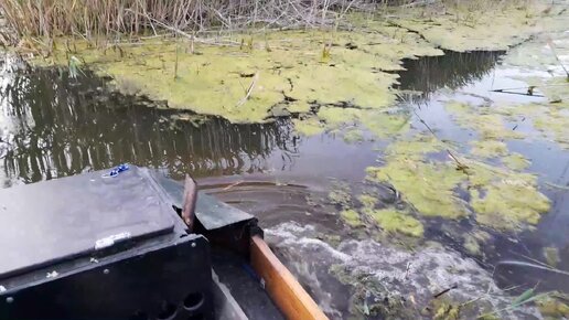 Вездеход. Летний сезон покатушек открыт.