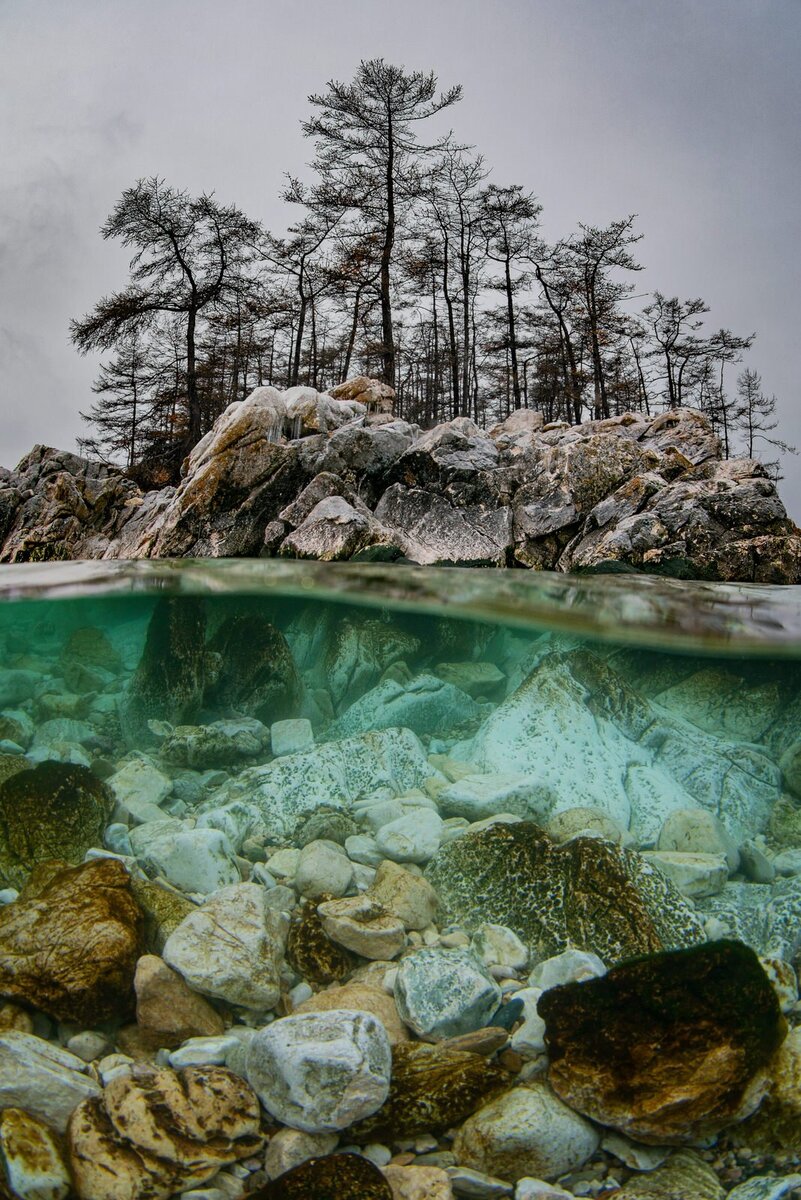 Дмитрий Кох