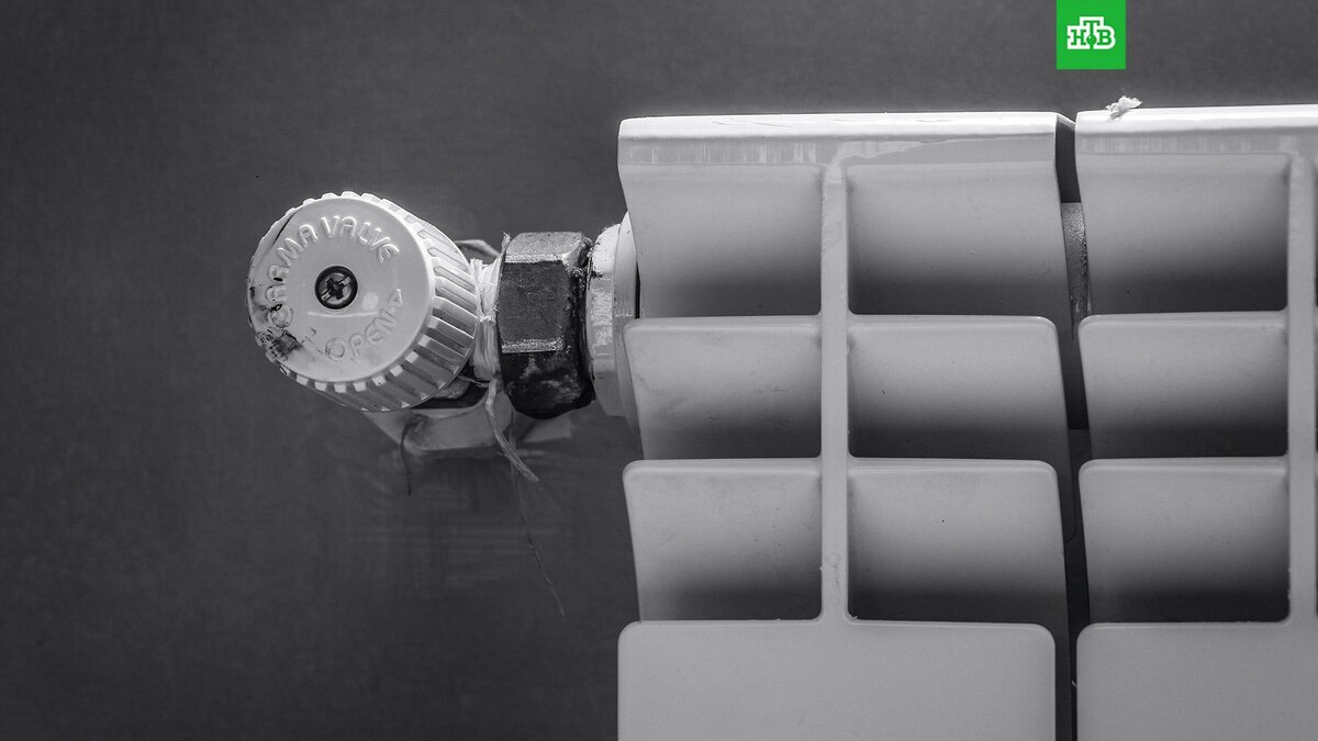    Фото: unsplash.com