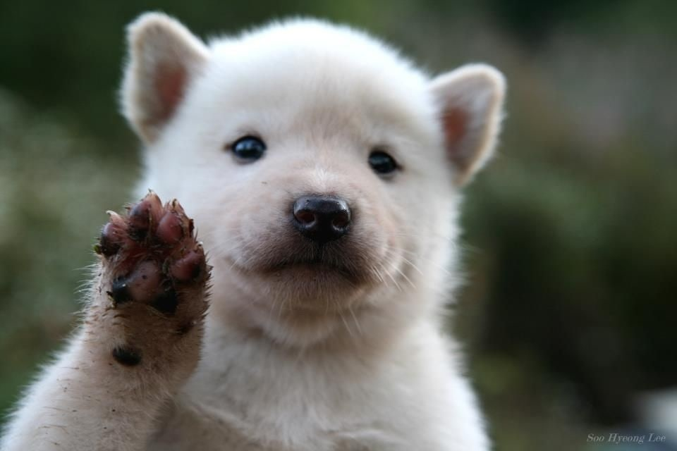 Ща как цапну за бочок. 
