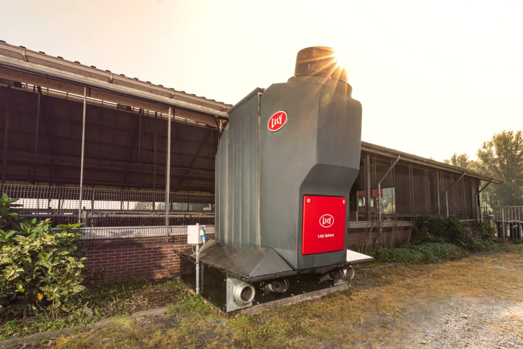Фото Lely  из открытых источников