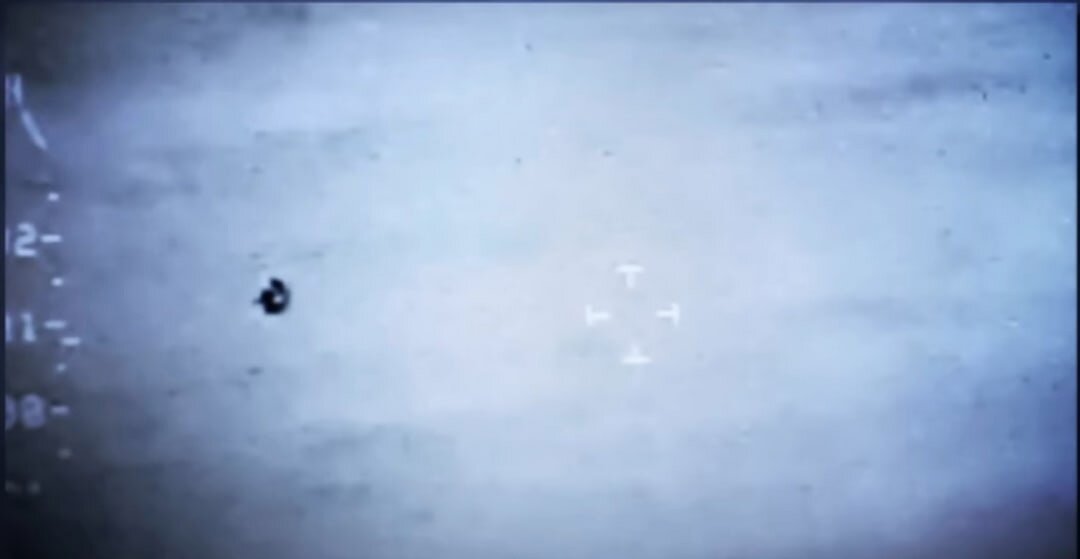 Кадры с канала "Discovery Channel Россия"