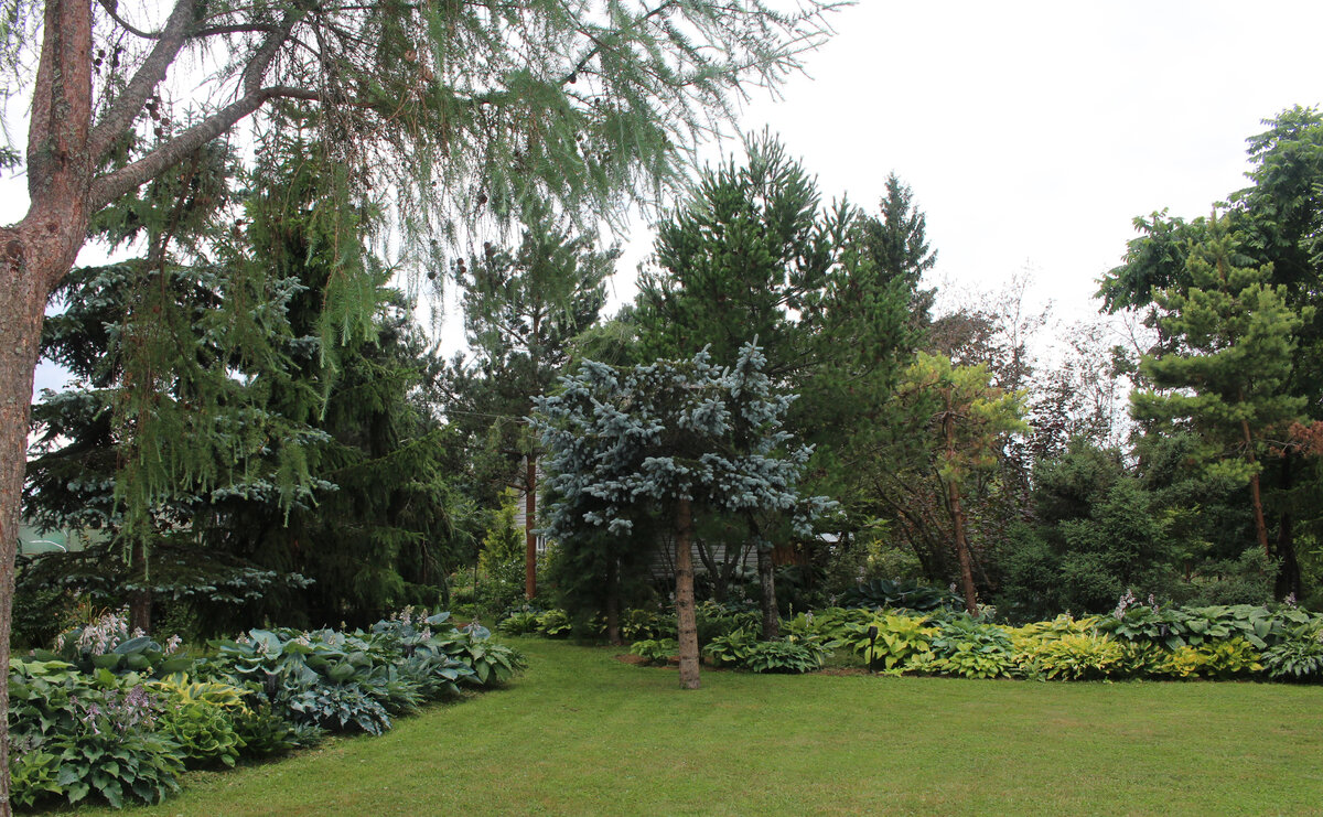 Сад супругов Марушиных