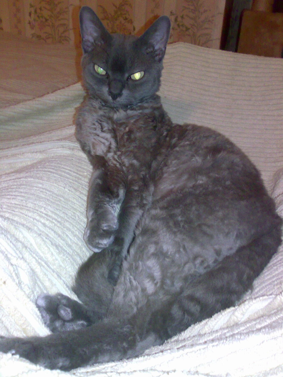 Царь изволит отдыхать