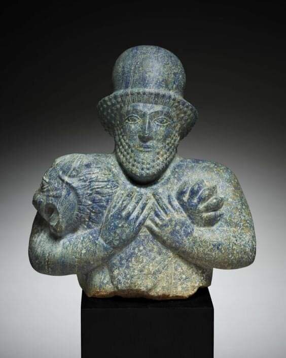 Credit Darius A.Kamali