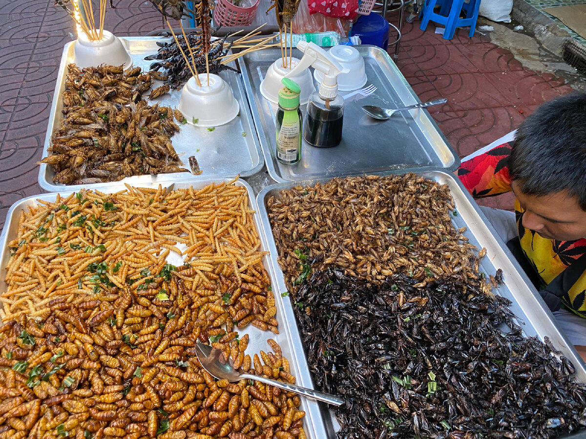 Соусы на любой вкус, любой допинг на ваш выбор. С чем лучше сочитаются личинки и черви, с кетчупом или соевым соусом? 