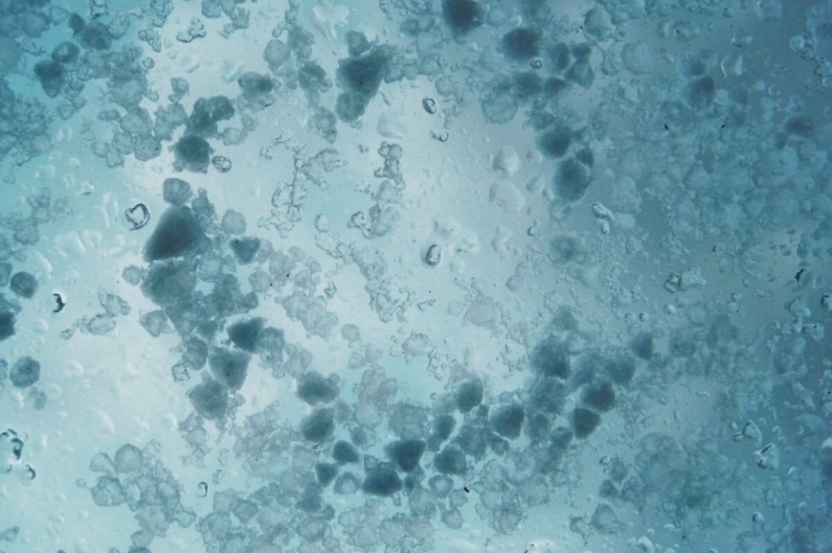    В Сочи в горах выпал первый снег