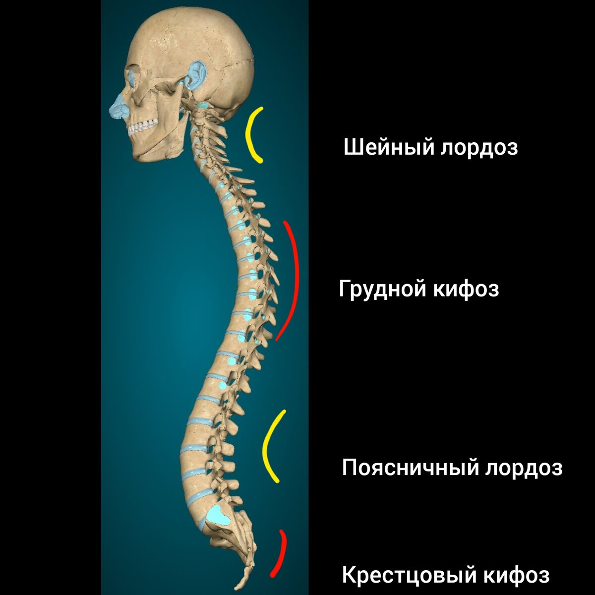 Уникальные Упражнения Улучшат кровоток к голове | Как ни крути.30++ | Дзен