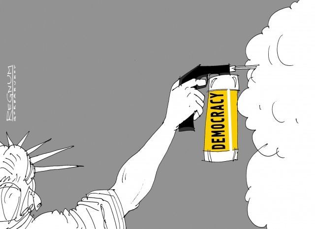    Демократия Александр Горбаруков © ИА REGNUM