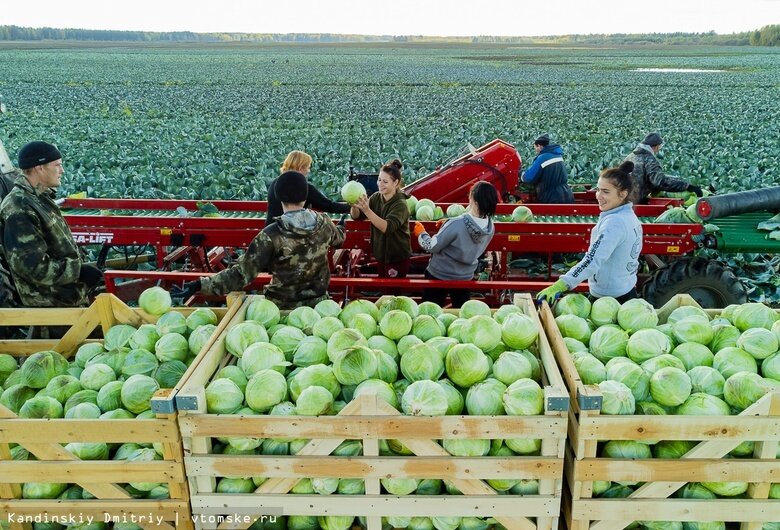    Фото: Дмитрий Кандинский / vtomske.ru