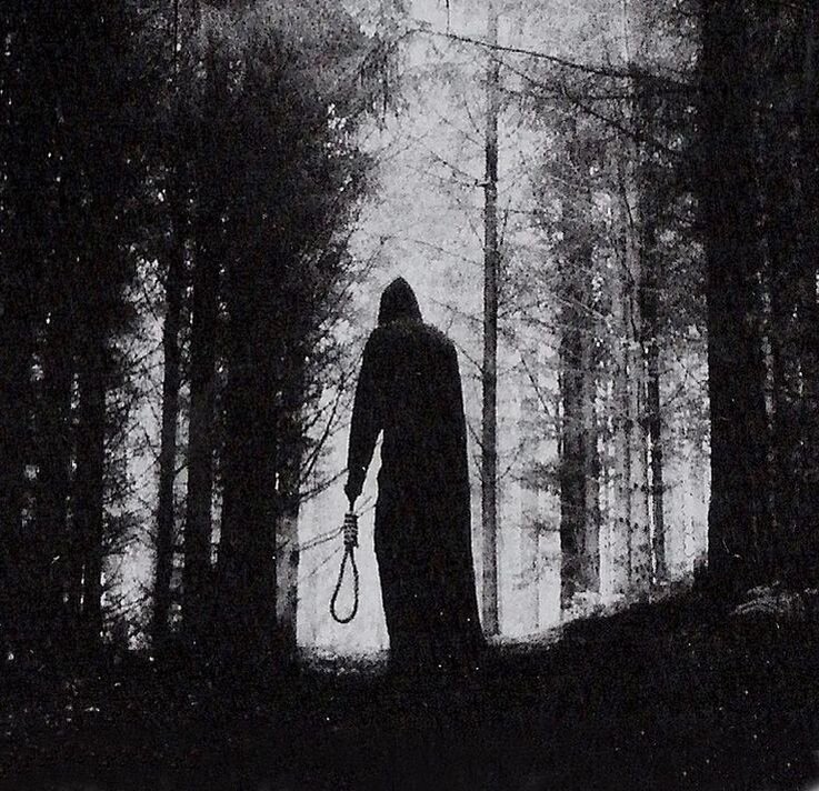 Изображение взято из открытых источников интернета.