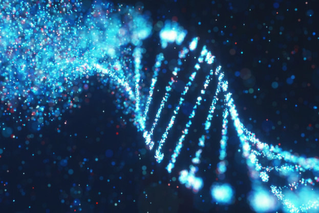     Как события в жизни наших бабушек и дедушек могут повлиять на наши гены: «память поколений» работает