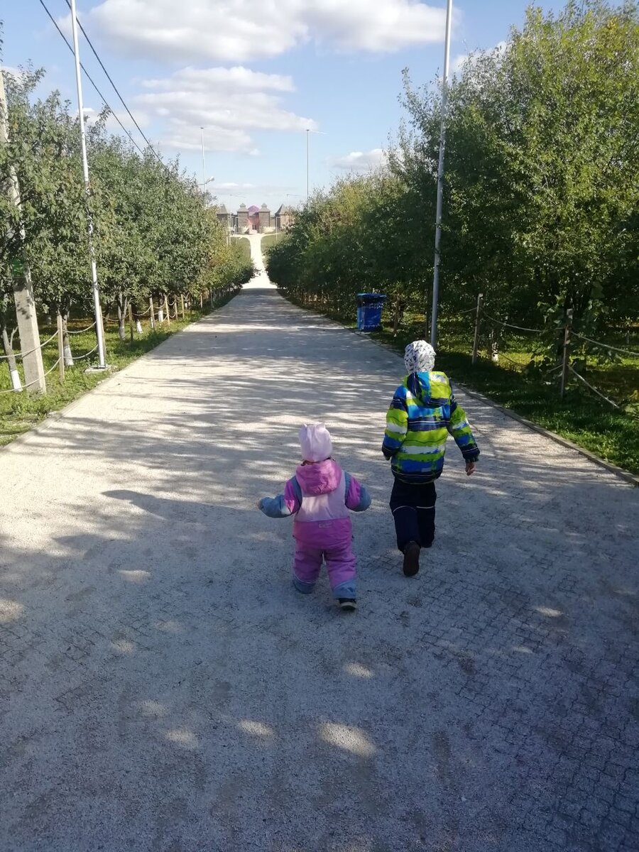 Дорога от парковки через плодовый сад 