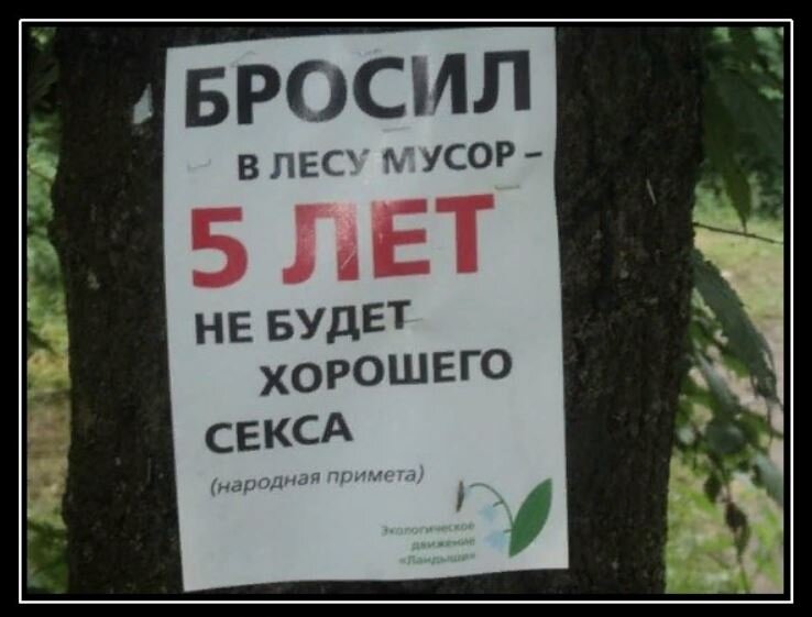 Табличка мусор в лесу. Я бросил наркотики а куда. Какой пацан фото. Где кидают. Где кидают.