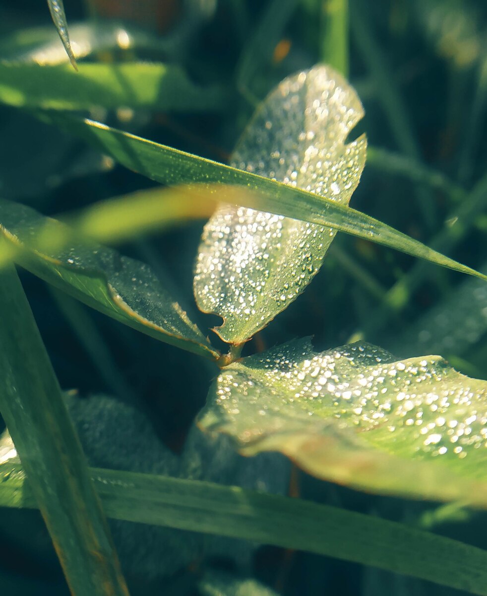 Это просто нечто..