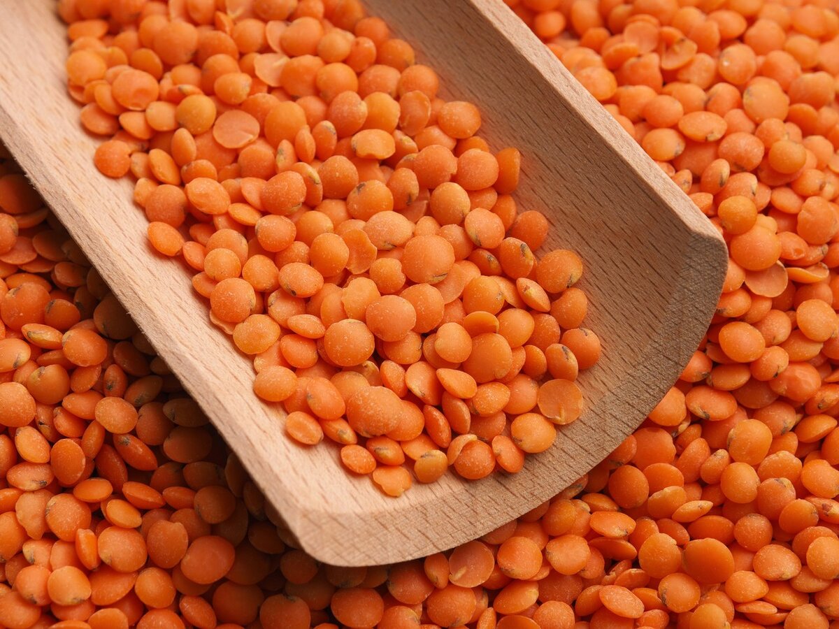 Фото: TASS / Zuma / Чечевица