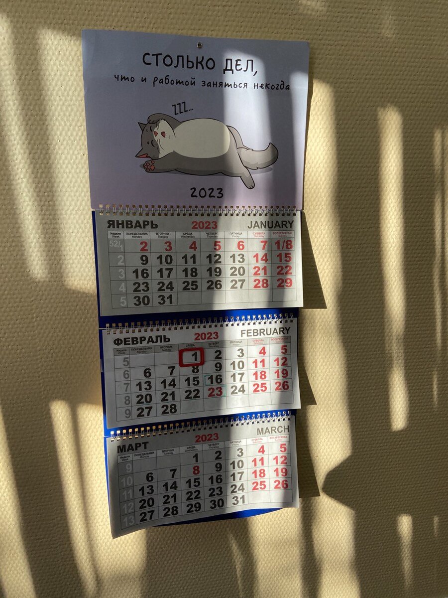 В итоге купил какой-то детский календарь..