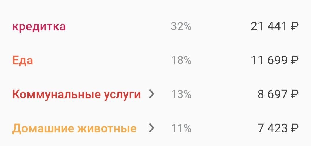 Основные траты января