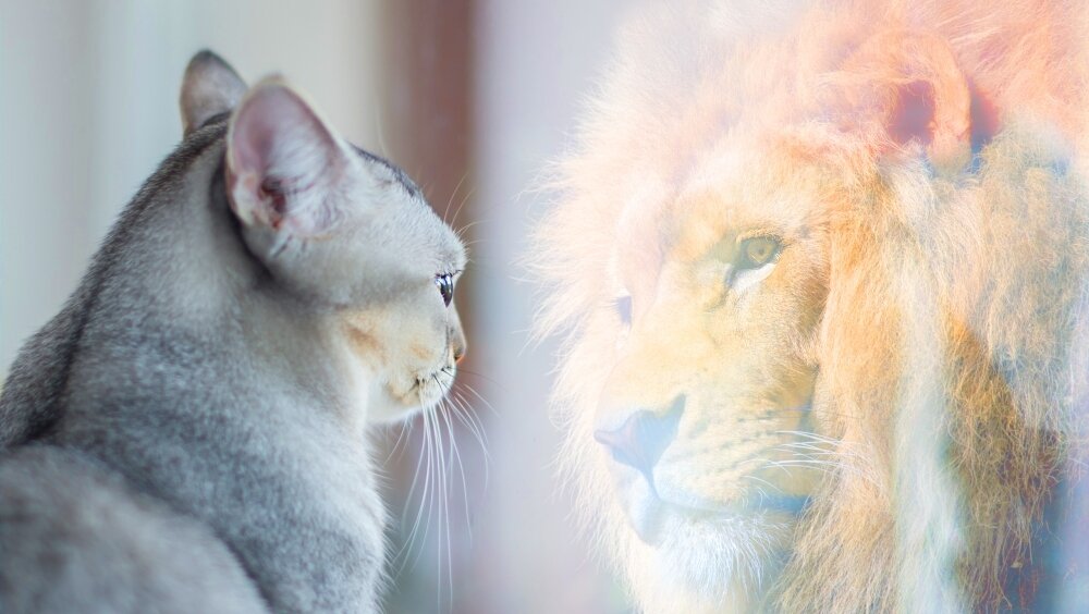    Фото: Shutterstock