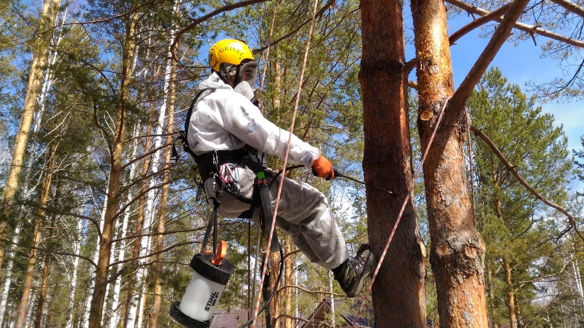 Лечение деревьев внутристволовыми инъекциями Mauget и Arborjet